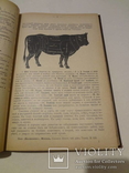 1896 Подарочная Кулинарная Книга с тиснением, фото №13