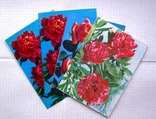 4 открытки-телеграммы 1975, 1978, 1981, фото №2