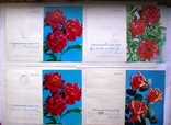 4 открытки-телеграммы 1975, 1978, 1981, фото №3