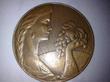 Памятные медали СССР, фото №4