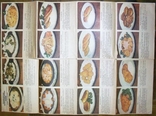 Технология приготовления пищи-Блюда из овощей-1987 год, фото №6