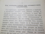 Старческие утешения в потере близких. 1912 год ., фото №10