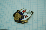 Знак 1954 - 1979 ВМФ Юбилей Флот. Тяжелый, эмаль, фото №6