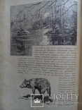 Путешествия по трем частям старого света 1894г. Доктора А.В. Елисеева, фото №11