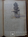 Путешествия по трем частям старого света 1894г. Доктора А.В. Елисеева, фото №23