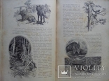 Путешествия по трем частям старого света 1894г. Доктора А.В. Елисеева, фото №42