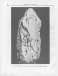 Кристаллы 1956 г, фото №10