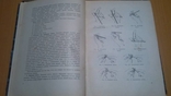  " Вязание и его техника " 58 годРубене Э., Иванова Г., фото №7