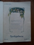 Подшивка журналов Пробуждение 1915г. 12 выпусков., фото №3