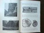 Природоведение Минералы 1913г. С цветными иллюстрациями., фото №7