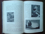 Природоведение Минералы 1913г. С цветными иллюстрациями., фото №9