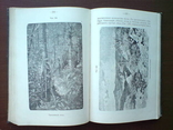 Природоведение Минералы 1913г. С цветными иллюстрациями., фото №12