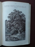 Природоведение Минералы 1913г. С цветными иллюстрациями., фото №13