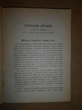 Страстная дружба 1917  Том 17, фото №4