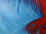 Droga w lesie. H. m., 50x70 cm, Alec Gross, numer zdjęcia 4