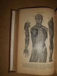 Книга о Здоровом и Больном Человеке 1899 год, фото №5