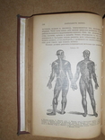 Книга о Здоровом и Больном Человеке 1899 год, фото №6