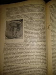 1938 год Учебник венерических и кожных болезней, фото №5