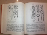 Вопросы древней и средневековой археологии восточной Европы, фото №3