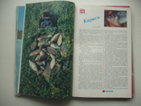 1988 Рыболов Журнал Комплект 6 номеров, фото №7