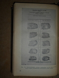 Руководство по Криминалистике 1941 год, фото №4