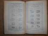 Руководство по Криминалистике 1941 год, фото №9