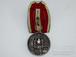 Медаль За заботу о Немецком Народе 3-й рейх 1939 год, фото №2