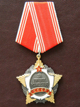 Орден «За личное мужество», копия, фото №2