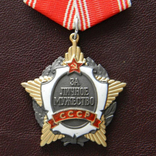 Орден «За личное мужество», копия, фото №3