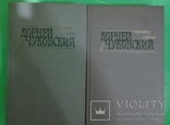 Корней Чуковский в двух томах, фото №3