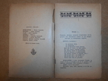 На Сіножаті 1920 рік ім Т.Шевченка, фото №3