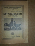 Куроводство 1919 год Харьков, фото №3