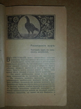 Куроводство 1919 год Харьков, фото №4