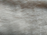 Белый меховой воротник, photo number 6