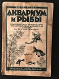 Аквариум и рыбы 1929 г  Сидоров Рыба, фото №2