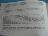 Чешский словарь на 26 языков мира. Praha 1960 год., фото №12