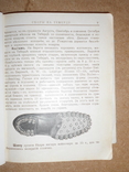 Путеводитель по Волшебной Теберде 1914 год, фото №11