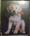 Фотография в рамке " Собака с розой"., numer zdjęcia 3