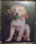 Фотография в рамке " Собака с розой"., photo number 5