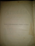 1909 год Биология, фото №4