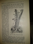 1909 год Биология, фото №7