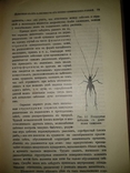 1909 год Биология, фото №15