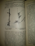 1909 год Биология, фото №18