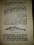 1909 год Биология, фото №21