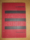 Камни и Корни 1934 год, фото №2