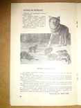 Бюллетень Военного Охотника и Рыбака 1958 год, фото №12