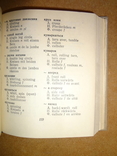 Терминология и ее Эквиваленты 1957 год, фото №5