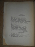 Богатство Комедия 1924 год, фото №4