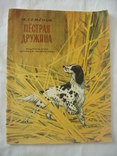 1974 Рассказы о природе Рис.Архангельская, фото №2