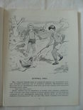 1974 Рассказы о природе Рис.Архангельская, фото №6